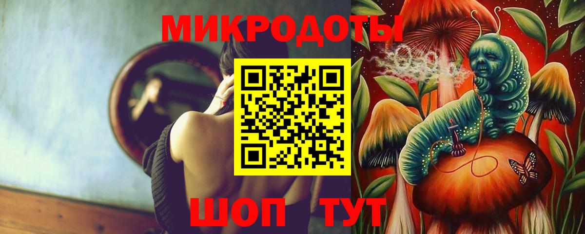 Аргун  Галлюциногенные грибы Psilocybine cubensis  Псилоцибиновые грибы мицелий  Вход с VPN 