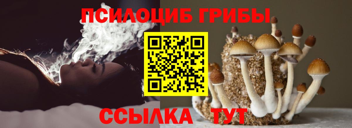 Галлюциногенные грибы прущие грибы Аргун